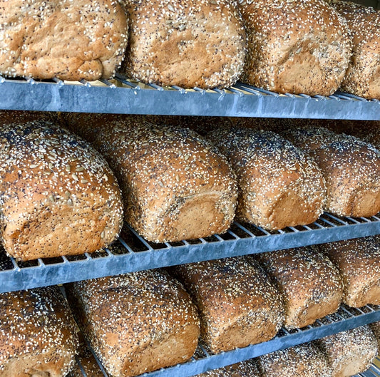 5 Benefits of Whole Wheat Bread, Big Sky Bread Company Birmingham Alabama
